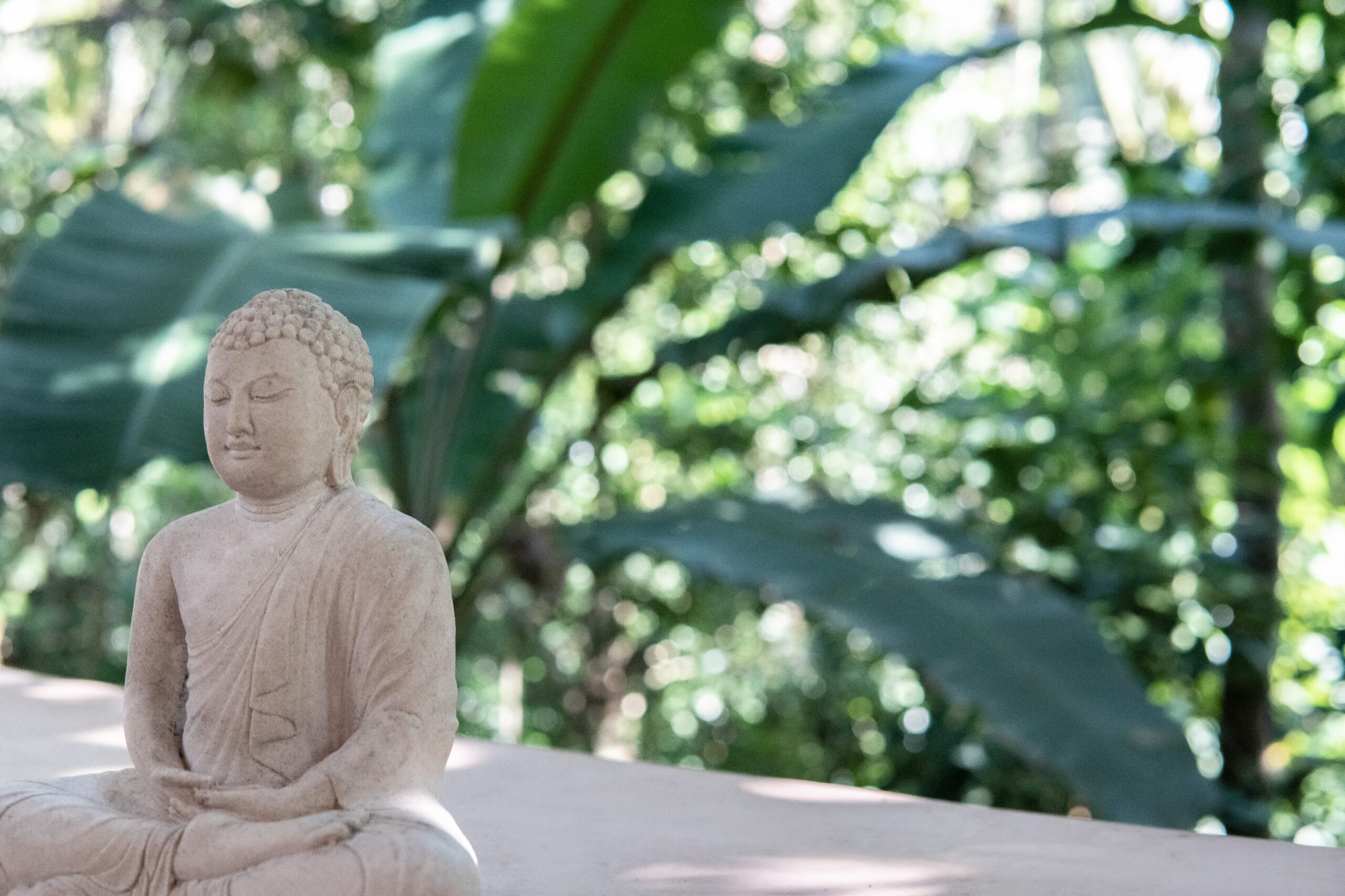 JV shala, buddha 2