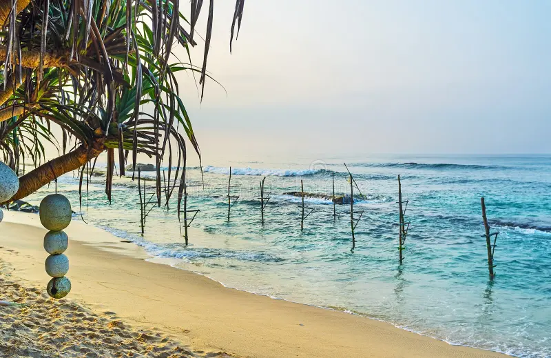 morning-beach-romantic-walk-along-ahangama-sand-view-numerous-fishing-sticks-water-sri-lanka-91293693